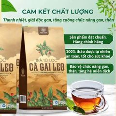combo 2 hộp trà cà gai leo nhà mộc tâm 