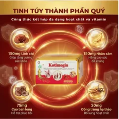 Viên uống Sâm - Đông Trùng Hạ Thảo tăng cường sức khỏe, tăng sức đề kháng Kotimogin (20 vỉ x 3 viên)