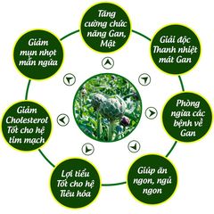 Cao Atiso Mềm 200gr -Trà Ngọc Duy- Hủ ngọt
