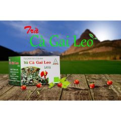 Trà cà gai leo Lava hộp 30 túi lọc