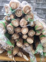 Củ Ngưu Báng Tươi Nhật 1 kg
