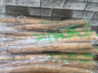 Củ Ngưu Báng Tươi Nhật 1 kg