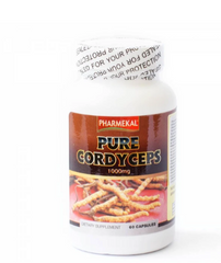 Viên uống Đông trùng hạ thảo giúp tăng cường sức đề kháng Pure Cordyceps Pharmekal (60 viên)