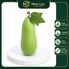 Trái Bí Xanh trang trí (Bí Đao) Cao Cấp | Trái Cây Nhựa foam, Trái Cây trang trí, Trái Cây Mô Hình