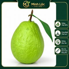 Trái Ổi Xanh trang trí | Trái Cây Nhựa foam, Trái Cây trang trí, Trái Cây Mô Hình