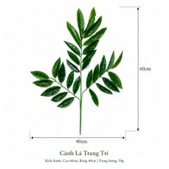 Lá Xoài trang trí, Lá Xoài Gi.ả mô hình | Trái Cây Nhựa foam, Trái Cây trang trí, Trái Cây Mô Hình
