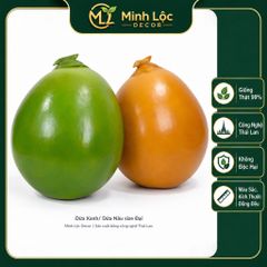 Trái Dừa Xanh/ Nâu size Đại | Trái Cây Nhựa foam, Trái Cây trang trí, Trái Cây Mô Hình