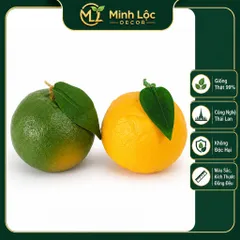 Trái Cam Sành Xanh/ Vàng trang trí Cao cấp | Trái Cây Nhựa foam, Trái Cây trang trí, Trái Cây Mô Hình