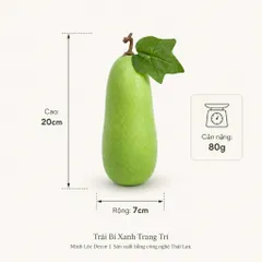 Trái Bí Xanh trang trí (Bí Đao) Cao Cấp | Trái Cây Nhựa foam, Trái Cây trang trí, Trái Cây Mô Hình