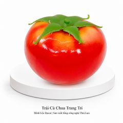 Trái Cà Chua trang trí Cao cấp | Trái Cây Nhựa foam, Trái Cây trang trí, Trái Cây Mô Hình