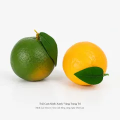 Trái Cam Sành Xanh/ Vàng trang trí Cao cấp | Trái Cây Nhựa foam, Trái Cây trang trí, Trái Cây Mô Hình