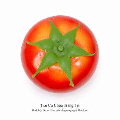 Trái Cà Chua trang trí Cao cấp | Trái Cây Nhựa foam, Trái Cây trang trí, Trái Cây Mô Hình