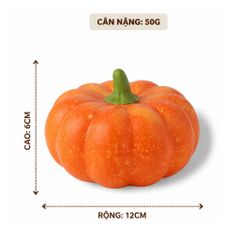 Trái Bí Đỏ trang trí | Trái Cây Nhựa foam, Trái Cây trang trí, Trái Cây Mô Hình