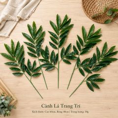Lá Xoài trang trí, Lá Xoài Gi.ả mô hình | Trái Cây Nhựa foam, Trái Cây trang trí, Trái Cây Mô Hình