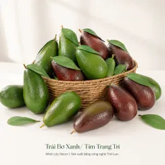 Trái Bơ Xanh/ Tím Trang Trí | Trái Cây Nhựa foam, Trái Cây trang trí, Trái Cây Mô Hình