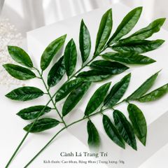 Lá Xoài trang trí, Lá Xoài Gi.ả mô hình | Trái Cây Nhựa foam, Trái Cây trang trí, Trái Cây Mô Hình