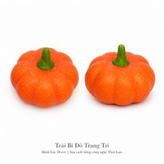 Trái Bí Đỏ trang trí | Trái Cây Nhựa foam, Trái Cây trang trí, Trái Cây Mô Hình
