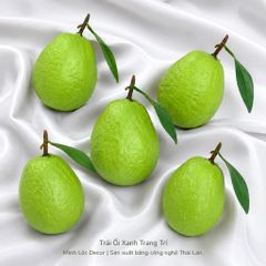 Trái Ổi Xanh trang trí | Trái Cây Nhựa foam, Trái Cây trang trí, Trái Cây Mô Hình