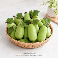 Trái Bí Xanh trang trí (Bí Đao) Cao Cấp | Trái Cây Nhựa foam, Trái Cây trang trí, Trái Cây Mô Hình