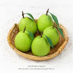 Trái Ổi Xanh trang trí | Trái Cây Nhựa foam, Trái Cây trang trí, Trái Cây Mô Hình