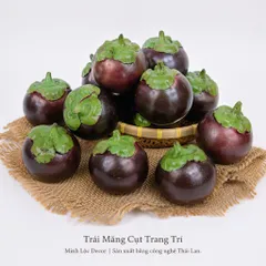 Trái Măng Cụt trang trí | Trái Cây Nhựa foam, Trái Cây trang trí, Trái Cây Mô Hình