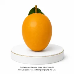 Trái Saboche | Sapoche (Hồng Xiêm) | Trái Cây Nhựa foam, Trái Cây trang trí, Trái Cây Mô Hình