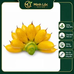 Nải Chuối Cau trang trí (11 Trái) trang trí Cao cấp | Trái Cây Nhựa foam, Trái Cây trang trí, Trái Cây Mô Hình