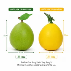 Trái Bưởi Xanh/ Vàng (Size Nhỏ, Trung, Đại) trang trí Cao cấp | Trái Cây Nhựa foam, Trái Cây trang trí, Trái Cây Mô Hình