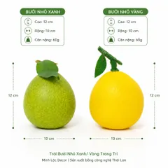 Trái Bưởi Xanh/ Vàng (Size Nhỏ, Trung, Đại) trang trí Cao cấp | Trái Cây Nhựa foam, Trái Cây trang trí, Trái Cây Mô Hình