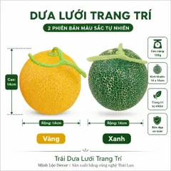 Trái Dưa Lưới trang trí Xanh/ Vàng Trang Trí Cao Cấp | Trái Cây Nhựa foam, Trái Cây trang trí, Trái Cây Mô Hình
