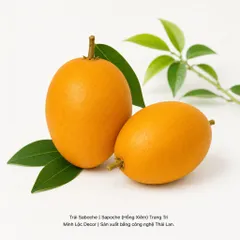 Trái Saboche | Sapoche (Hồng Xiêm) | Trái Cây Nhựa foam, Trái Cây trang trí, Trái Cây Mô Hình