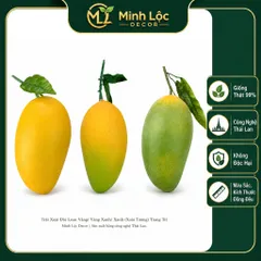 Trái Xoài Đài Loan Vàng / Vàng Xanh/ Xanh (Xoài Tượng) | Trái Cây Nhựa foam, Trái Cây trang trí, Trái Cây Mô Hình
