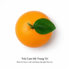 Trái Cam Mỹ trang trí | Trái Cây Nhựa foam, Trái Cây trang trí, Trái Cây Mô Hình