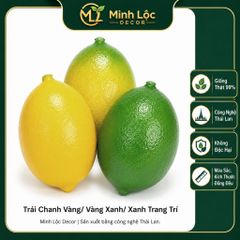 Trái Chanh Vàng/ Vàng Xanh/ Xanh trai trí | Trái Cây Nhựa foam, Trái Cây trang trí, Trái Cây Mô Hình