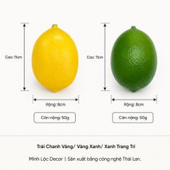 Trái Chanh Vàng/ Vàng Xanh/ Xanh trai trí | Trái Cây Nhựa foam, Trái Cây trang trí, Trái Cây Mô Hình