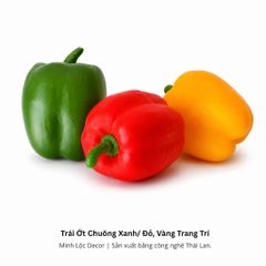 Trái Ớt Chuông Xanh/ Đỏ/ Vàng Trang Trí | Trái Cây Nhựa foam, Trái Cây trang trí, Trái Cây Mô Hình