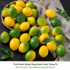 Trái Chanh Vàng/ Vàng Xanh/ Xanh trai trí | Trái Cây Nhựa foam, Trái Cây trang trí, Trái Cây Mô Hình