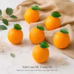 Trái Cam Mỹ trang trí | Trái Cây Nhựa foam, Trái Cây trang trí, Trái Cây Mô Hình