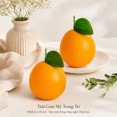 Trái Cam Mỹ trang trí | Trái Cây Nhựa foam, Trái Cây trang trí, Trái Cây Mô Hình