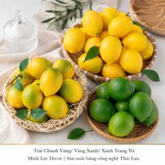 Trái Chanh Vàng/ Vàng Xanh/ Xanh trai trí | Trái Cây Nhựa foam, Trái Cây trang trí, Trái Cây Mô Hình