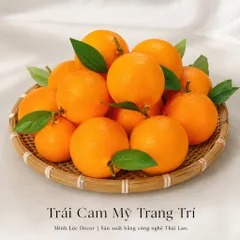 Trái Cam Mỹ trang trí | Trái Cây Nhựa foam, Trái Cây trang trí, Trái Cây Mô Hình
