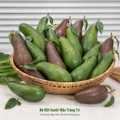 Trái cây giả, 1 trái bơ 034, trái cây mô hình, quả giả - trang trí nhà cửa
