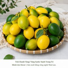 Trái Chanh Vàng/ Vàng Xanh/ Xanh trai trí | Trái Cây Nhựa foam, Trái Cây trang trí, Trái Cây Mô Hình