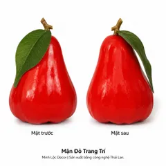 Trái Mận Đỏ trang trí | Trái Cây Nhựa foam, Trái Cây trang trí, Trái Cây Mô Hình
