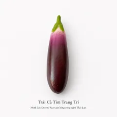 Trái Cà Tím trang trí | Trái Cây Nhựa foam, Trái Cây trang trí, Trái Cây Mô Hình