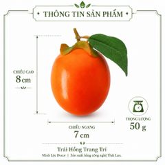 Trái Hồng trang trí | Trái Cây Nhựa foam, Trái Cây trang trí, Trái Cây Mô Hình