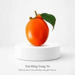 Trái Hồng trang trí | Trái Cây Nhựa foam, Trái Cây trang trí, Trái Cây Mô Hình