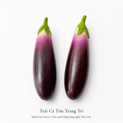 Trái Cà Tím trang trí | Trái Cây Nhựa foam, Trái Cây trang trí, Trái Cây Mô Hình