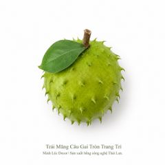Trái Mãng Cầu Gai Tròn trang trí Cao cấp | Trái Cây Nhựa foam, Trái Cây trang trí, Trái Cây Mô Hình