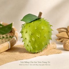 Trái Mãng Cầu Gai Tròn trang trí Cao cấp | Trái Cây Nhựa foam, Trái Cây trang trí, Trái Cây Mô Hình